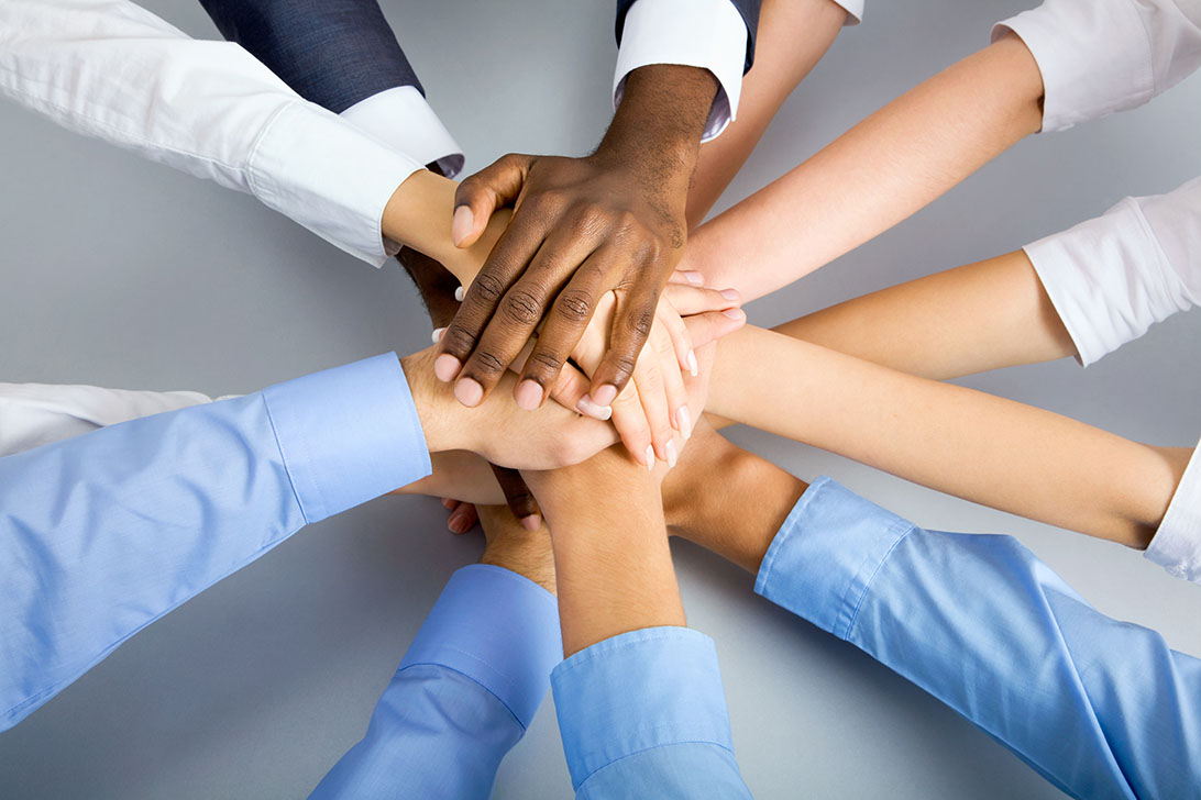 Portfolio Image